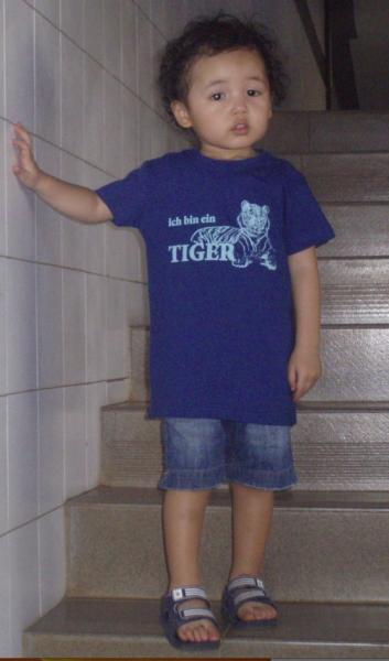 Fenster schlie�en