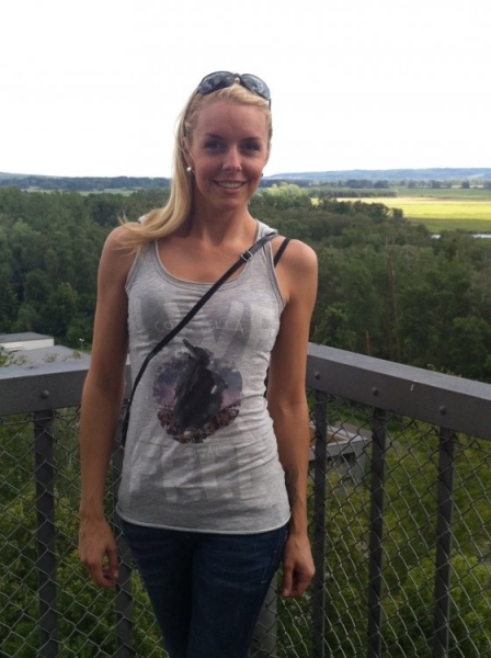 Fenster schlieen