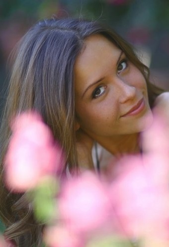 Fenster schlie�en